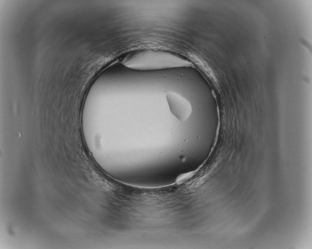 X0000094800481200711301542