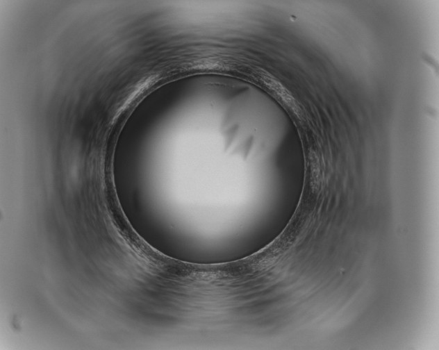 X0000094800482200711301542
