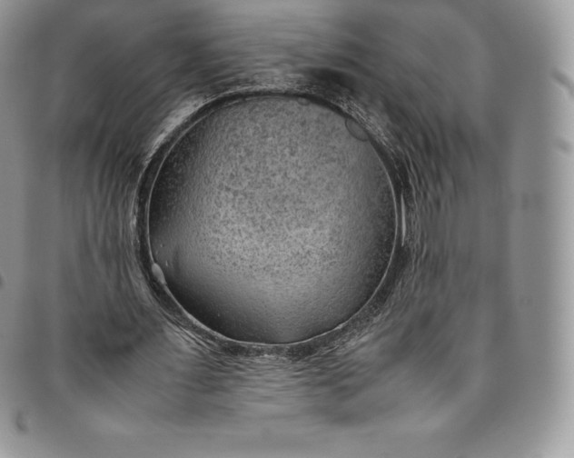 X0000094800483200711301542
