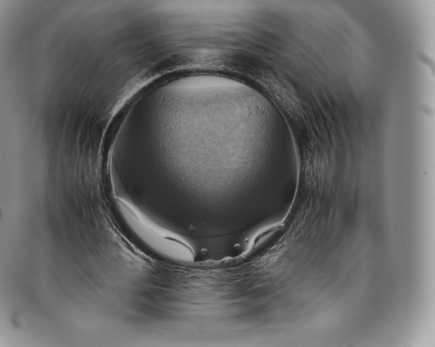X0000094800484200711301542