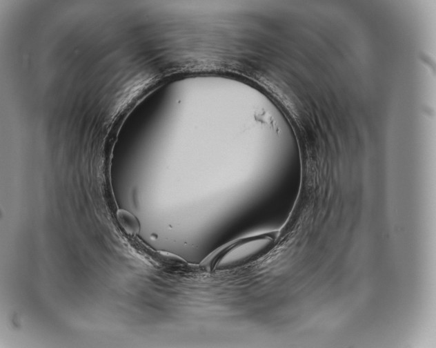 X0000094800485200711301542