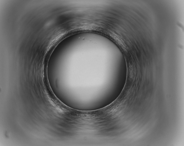 X0000094800486200711301542