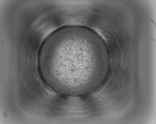 X0000094800487200711301542