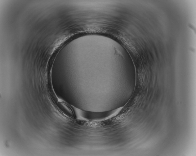 X0000094800488200711301542