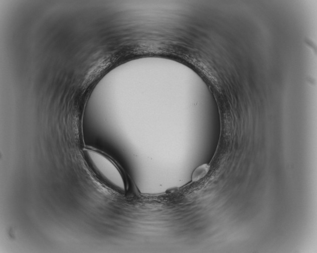 X0000094800489200711301542