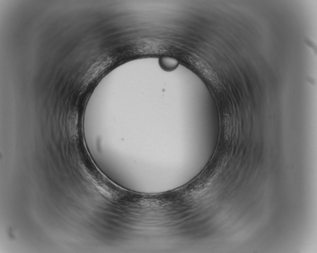X0000094800490200711301542