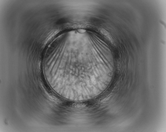 X0000094800491200711301542