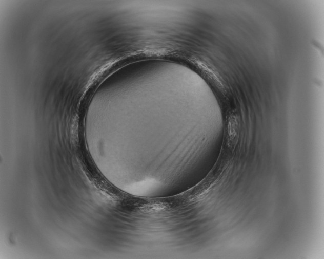 X0000094800492200711301542
