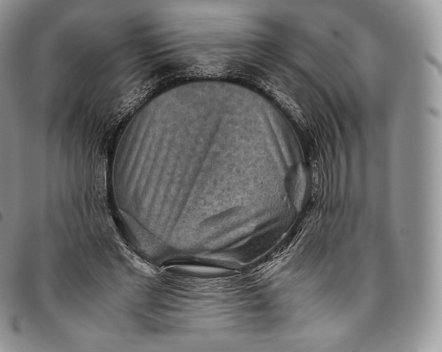 X0000094800493200711301542