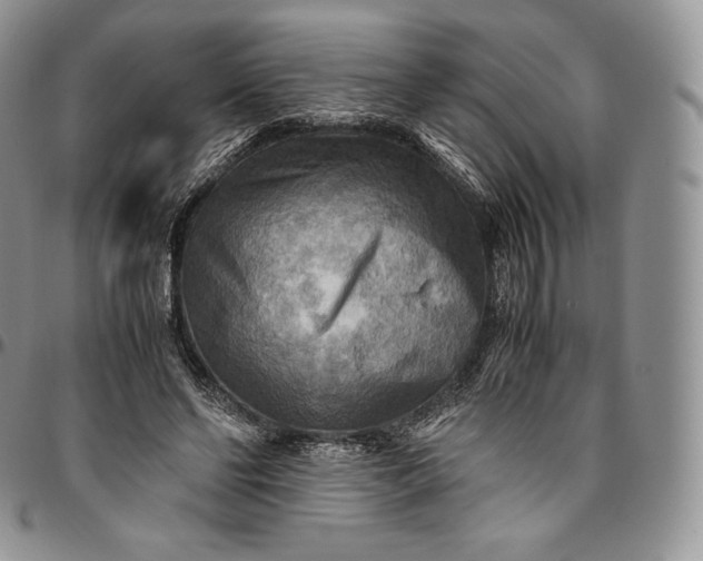 X0000094800494200711301542