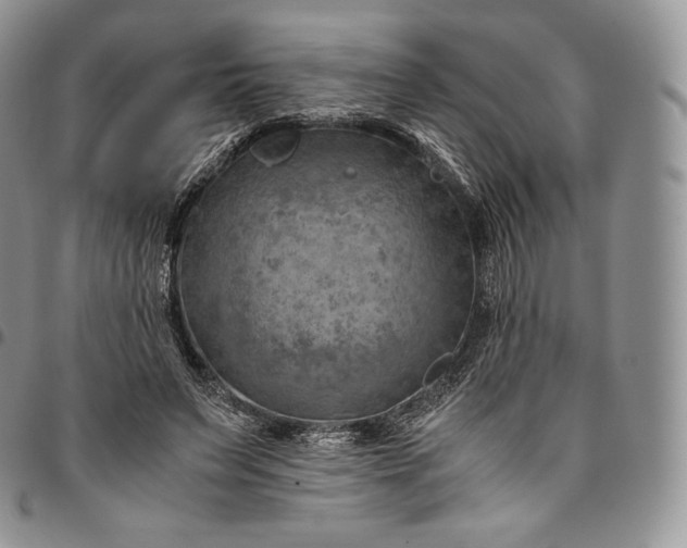 X0000094800495200711301542