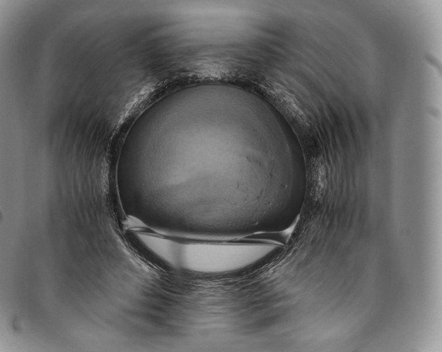 X0000094800496200711301542