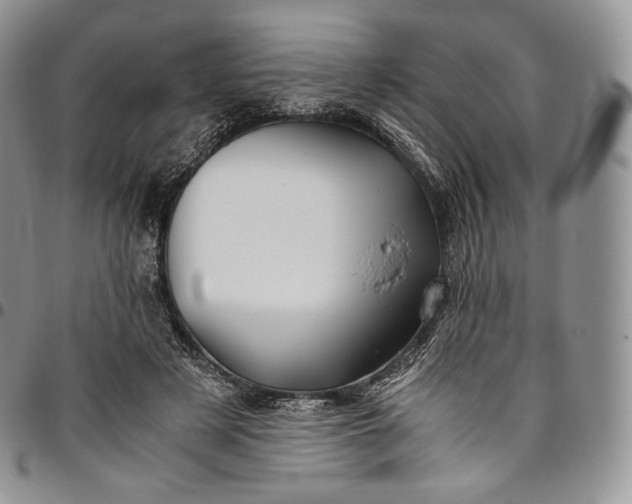 X0000094800497200711301542