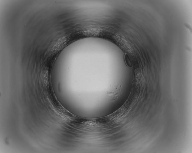 X0000094800498200711301542