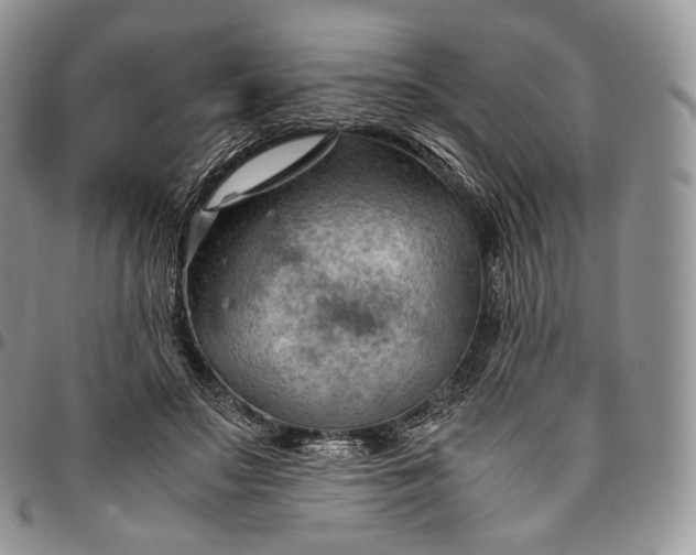 X0000094800499200711301542