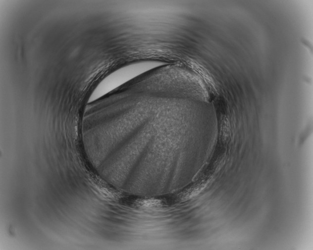 X0000094800501200711301542