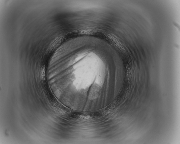 X0000094800502200711301542