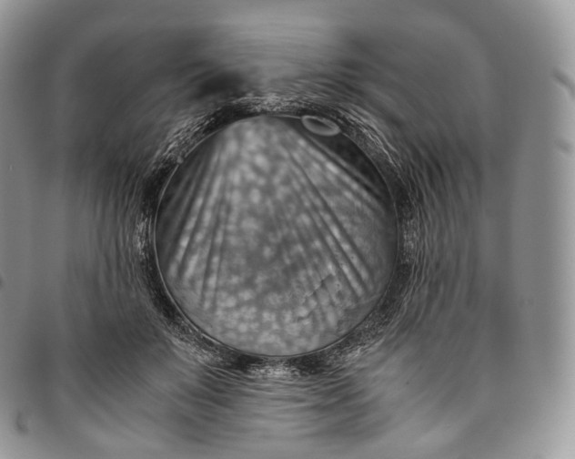 X0000094800503200711301542