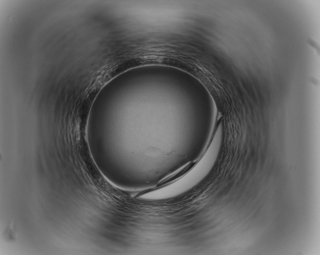 X0000094800504200711301542