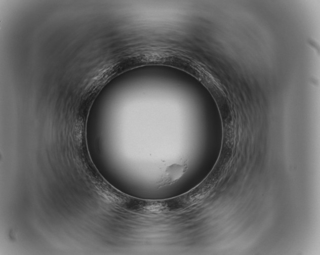 X0000094800505200711301542