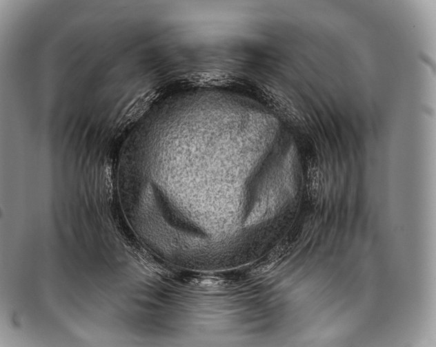 X0000094800506200711301542