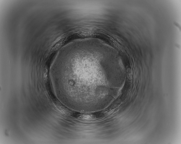 X0000094800507200711301542