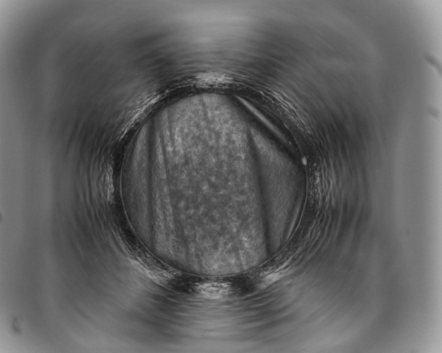X0000094800508200711301542