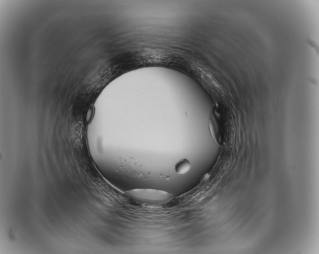 X0000094800509200711301542