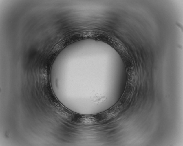 X0000094800510200711301542