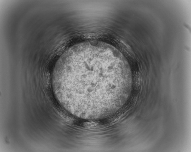 X0000094800511200711301542