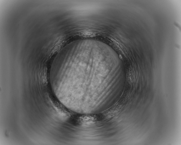 X0000094800512200711301542