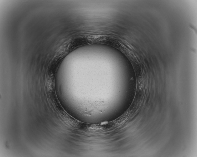 X0000094800515200711301542