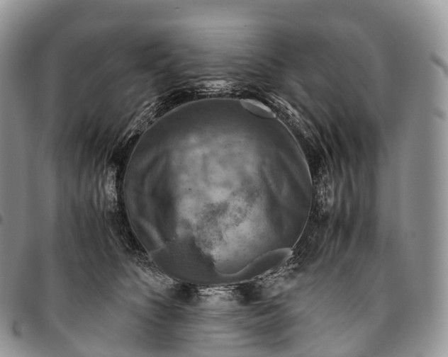 X0000094800516200711301542