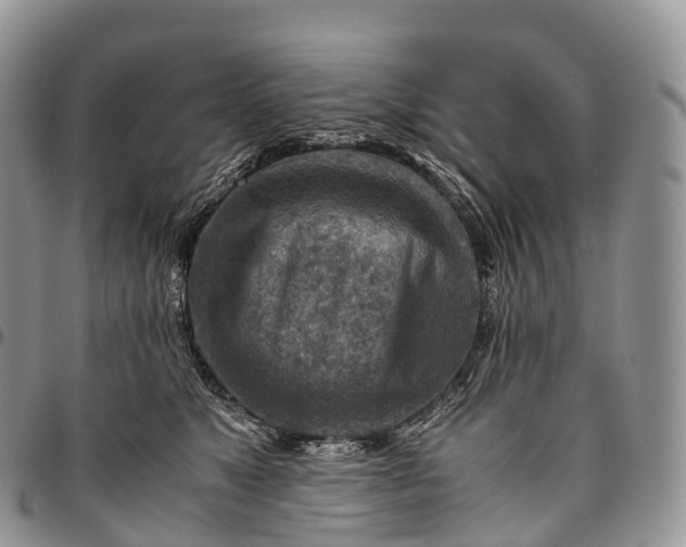 X0000094800517200711301542