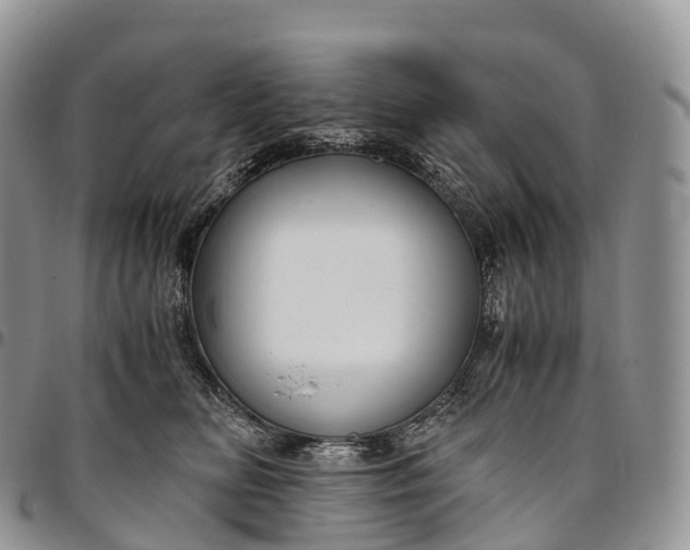X0000094800518200711301542