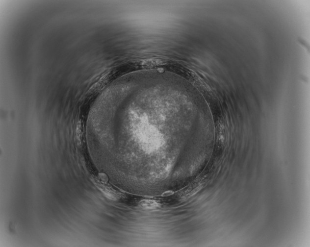 X0000094800519200711301542