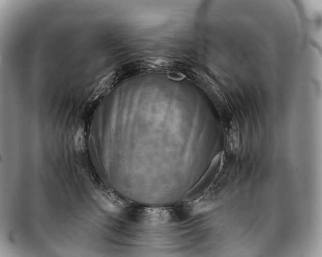 X0000094800520200711301542