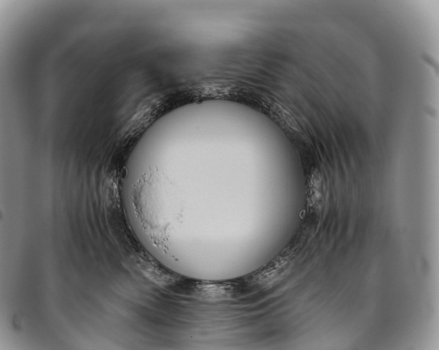 X0000094800522200711301542