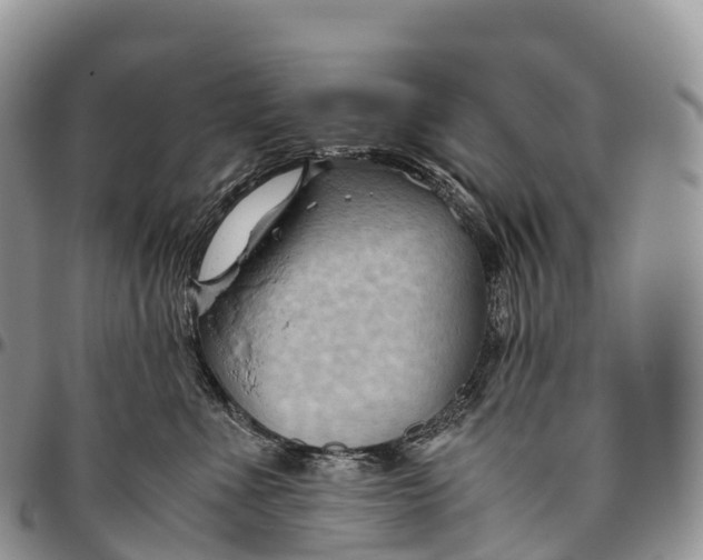 X0000094800523200711301542