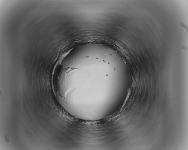 X0000094800524200711301542