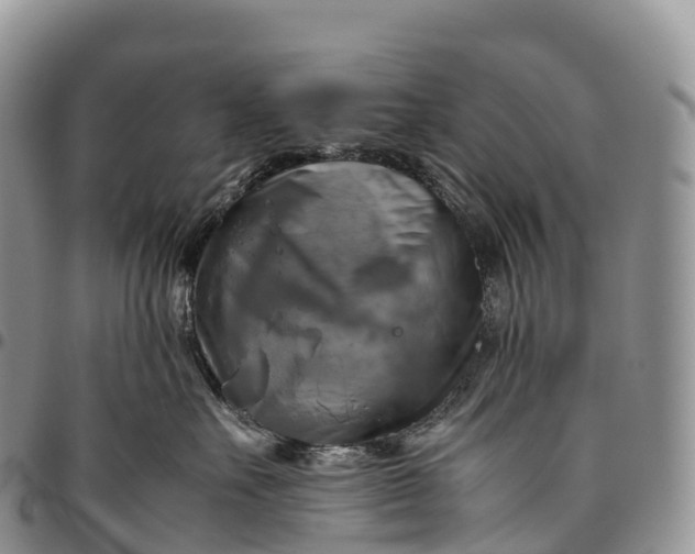 X0000094800527200711301542