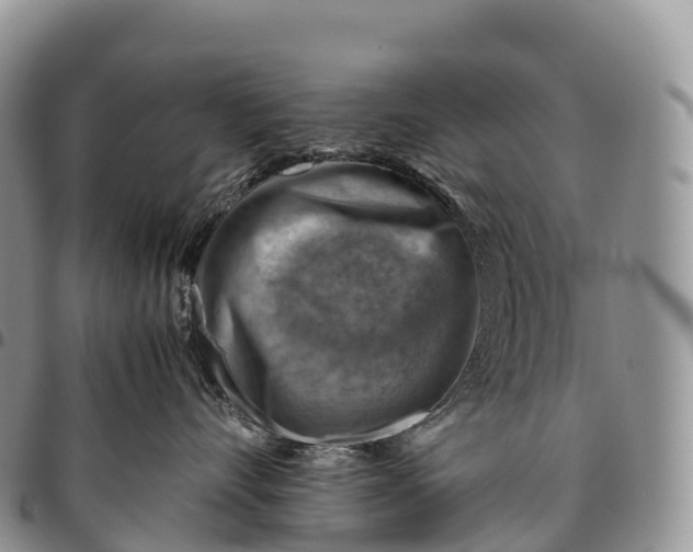 X0000094800528200711301542