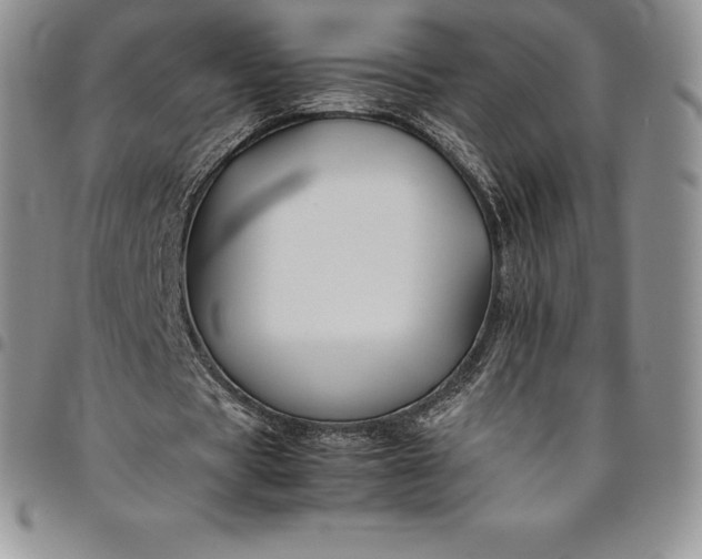 X0000094800529200711301541