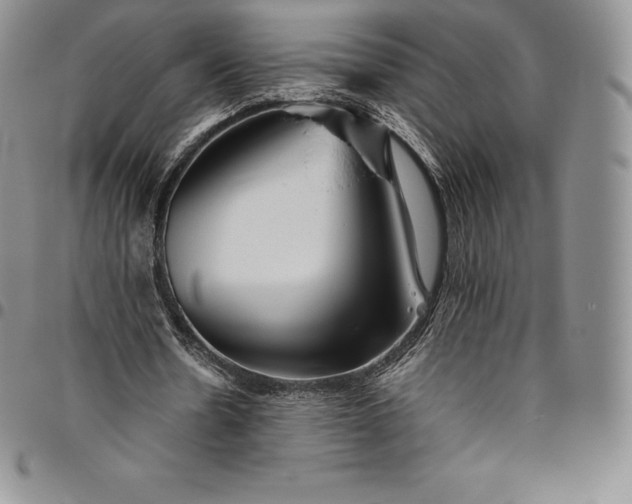 X0000094800530200711301541