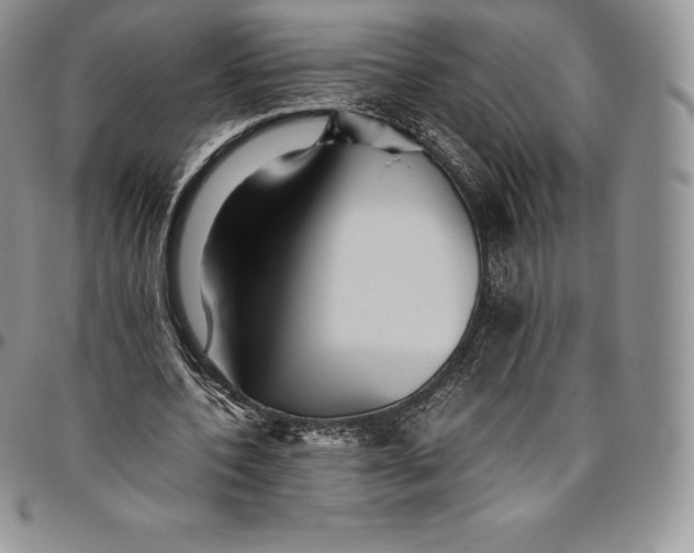 X0000094800532200711301541