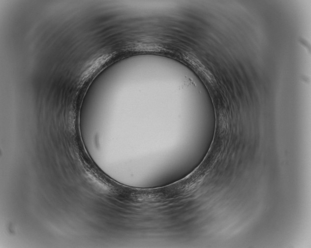 X0000094800533200711301541