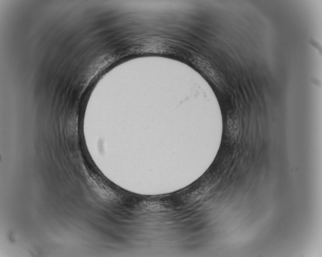 X0000094800534200711301541
