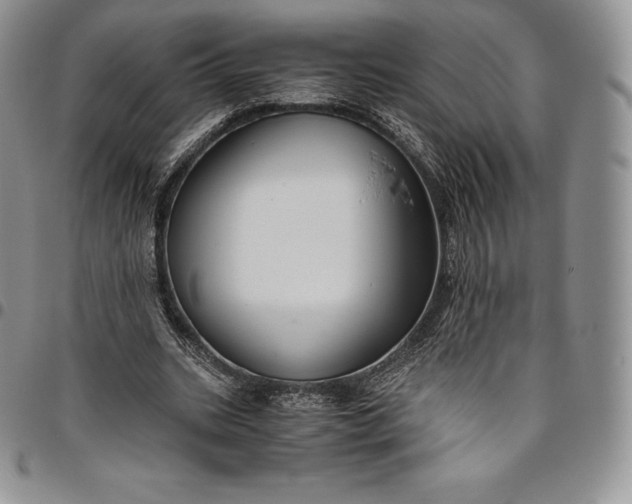 X0000094800535200711301541