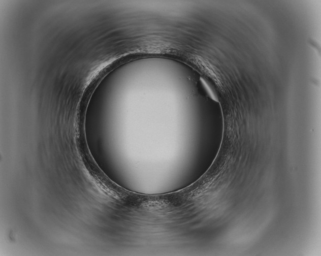 X0000094800536200711301541