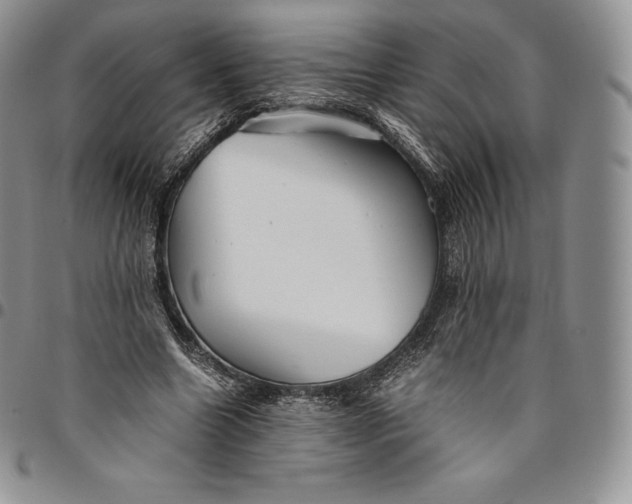 X0000094800538200711301541